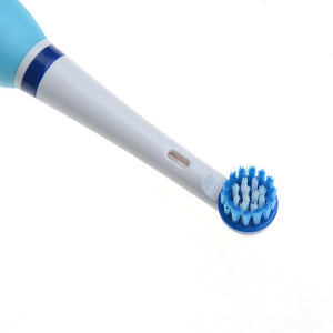 Head Rotation Tooth Brush