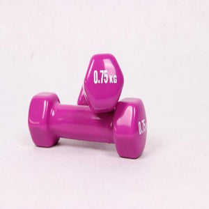 Mini Dumbbell